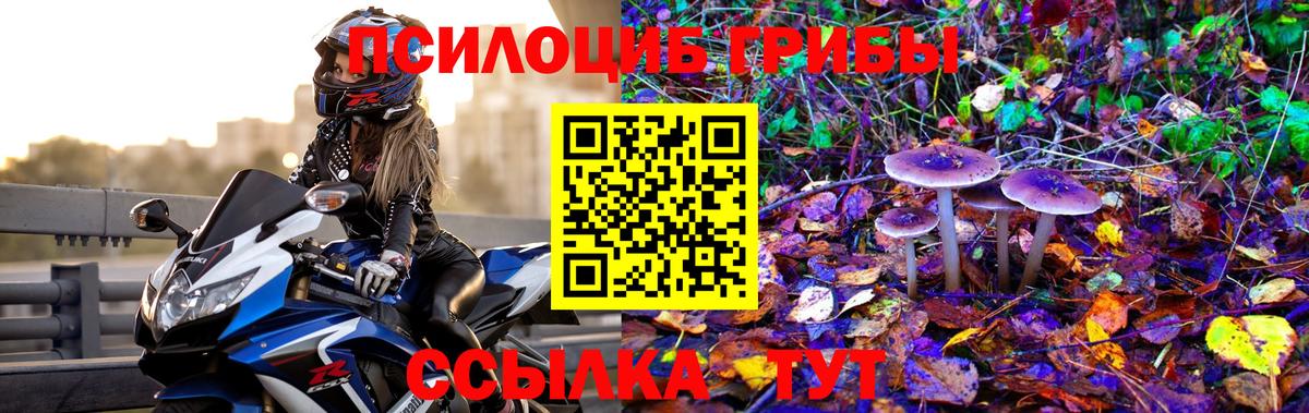 как найти закладки  Псилоцибиновые грибы прущие грибы  Вход с VPN  Тихвин  Псилоцибиновые грибы Cubensis 